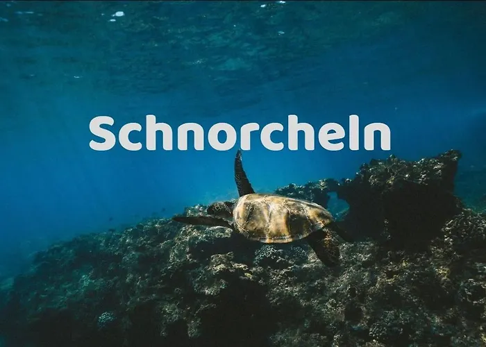 아파트 Luxurioese Mit Meerblick In Playa Paraiso 아데제