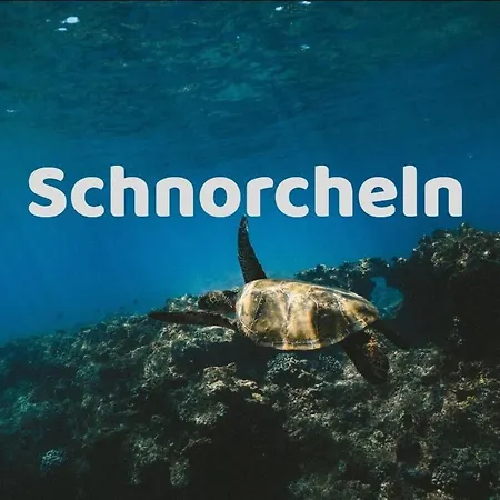 아파트 Luxurioese Mit Meerblick In Playa Paraiso 아데제